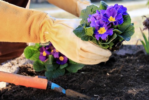 Landscaping team planting raised beds in Fulham courtyard