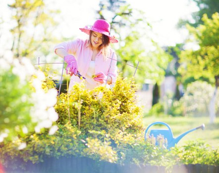 A gardener using a tablet on-site to coordinate Fulham gardening services
